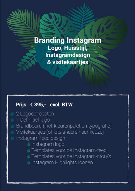 Branding Instagram Studio Picaflor Branding Instagram Studio Picaflor
